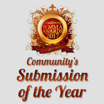 Community'S Submission Of The Year 2017