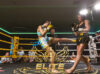 Hollie Bowness kicks Natasha Hingley at Elite, May 27, 2023 | Photo Credit: Elite